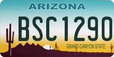 AZ license plate BSC1290