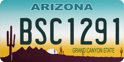 AZ license plate BSC1291