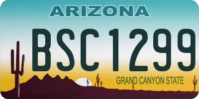 AZ license plate BSC1299