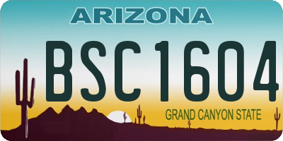 AZ license plate BSC1604