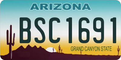 AZ license plate BSC1691