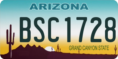 AZ license plate BSC1728