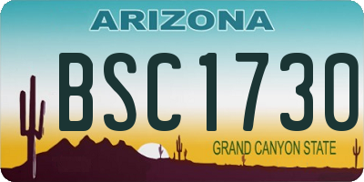 AZ license plate BSC1730