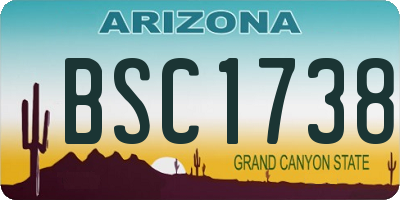 AZ license plate BSC1738