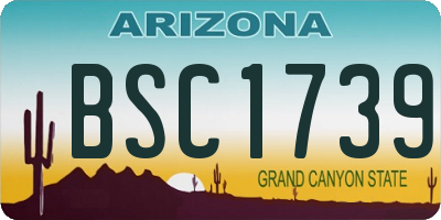 AZ license plate BSC1739