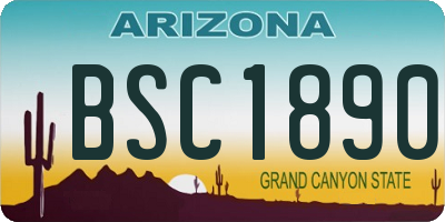 AZ license plate BSC1890