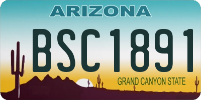 AZ license plate BSC1891