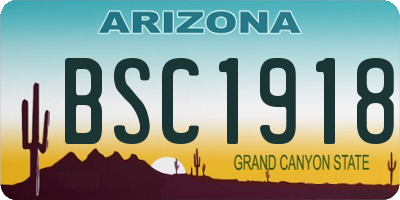 AZ license plate BSC1918