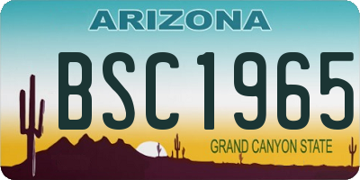 AZ license plate BSC1965