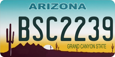 AZ license plate BSC2239