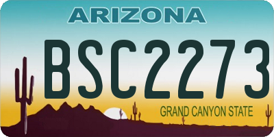 AZ license plate BSC2273