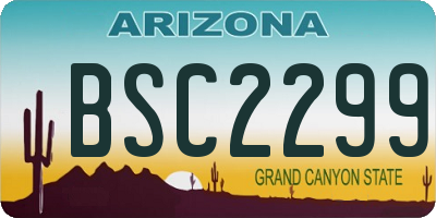 AZ license plate BSC2299