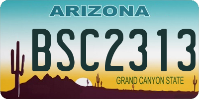 AZ license plate BSC2313