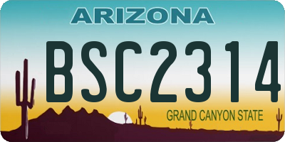 AZ license plate BSC2314