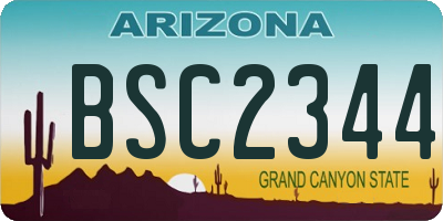 AZ license plate BSC2344