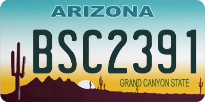 AZ license plate BSC2391