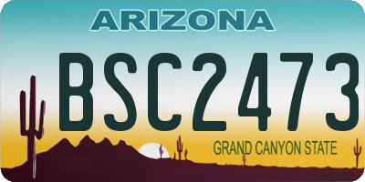 AZ license plate BSC2473