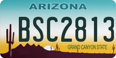 AZ license plate BSC2813