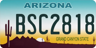 AZ license plate BSC2818