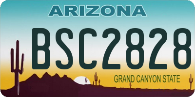 AZ license plate BSC2828