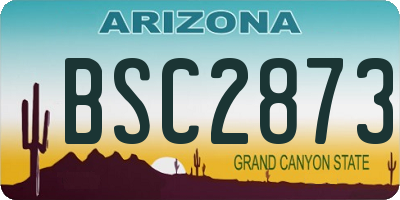 AZ license plate BSC2873