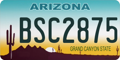 AZ license plate BSC2875