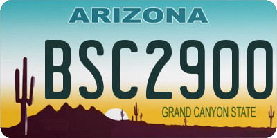 AZ license plate BSC2900