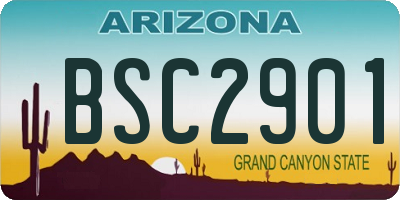 AZ license plate BSC2901