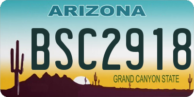 AZ license plate BSC2918