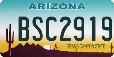 AZ license plate BSC2919