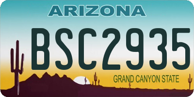 AZ license plate BSC2935