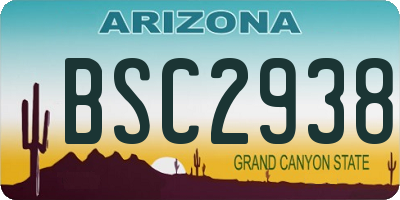 AZ license plate BSC2938