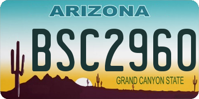 AZ license plate BSC2960