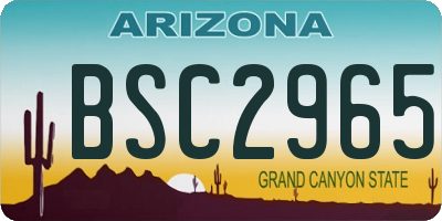 AZ license plate BSC2965