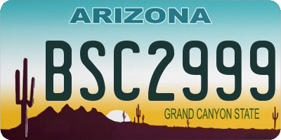 AZ license plate BSC2999