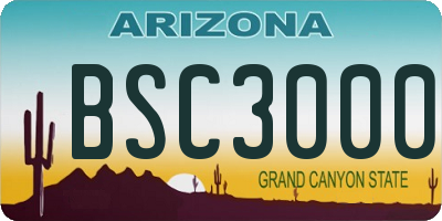 AZ license plate BSC3000