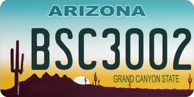 AZ license plate BSC3002