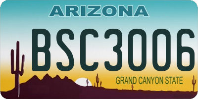 AZ license plate BSC3006