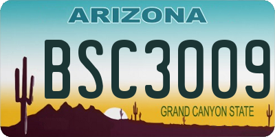 AZ license plate BSC3009