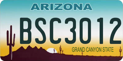 AZ license plate BSC3012