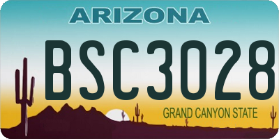 AZ license plate BSC3028