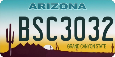 AZ license plate BSC3032