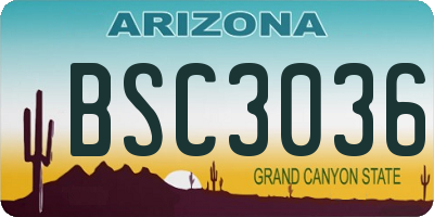 AZ license plate BSC3036