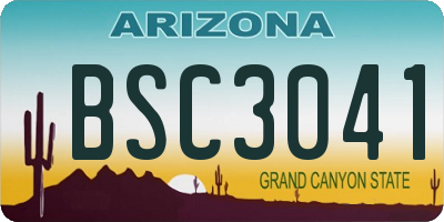 AZ license plate BSC3041