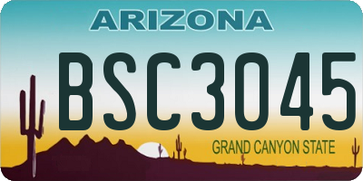 AZ license plate BSC3045