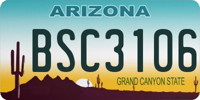 AZ license plate BSC3106