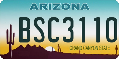 AZ license plate BSC3110