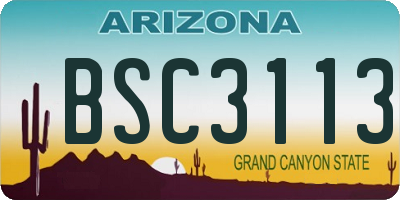 AZ license plate BSC3113