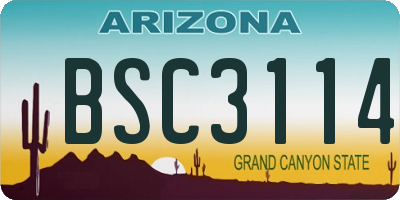 AZ license plate BSC3114