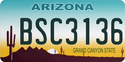 AZ license plate BSC3136